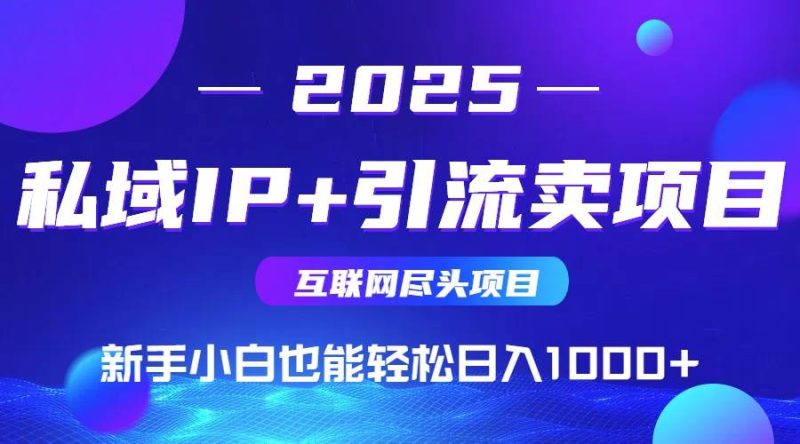 2025网创尽头项目,私域IP+引流,新手小白也能在家日入1000+|云雀资源分享