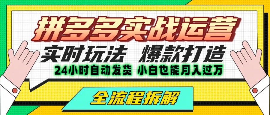 拼多多最新实战运营高投产：长久稳定项目，单店利润一天三位数|云雀资源分享