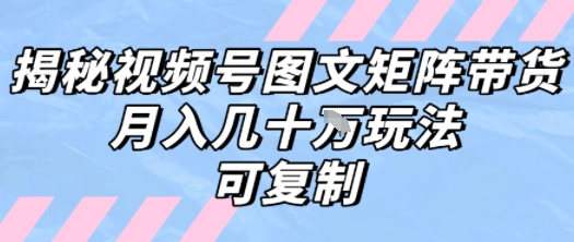 解密视频号图文矩阵带货，月入几个W的打法，可复制|云雀资源分享