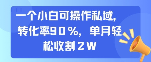 一个小白可操作私域，转化率90%，单月轻松收割2W|云雀资源分享