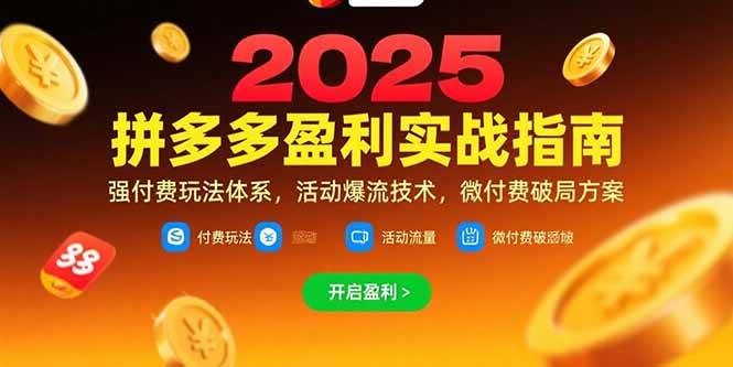 图片[1]-拼多多盈利实战指南，强付费玩法，活动爆流技术，微付费破局方案(更新7月)