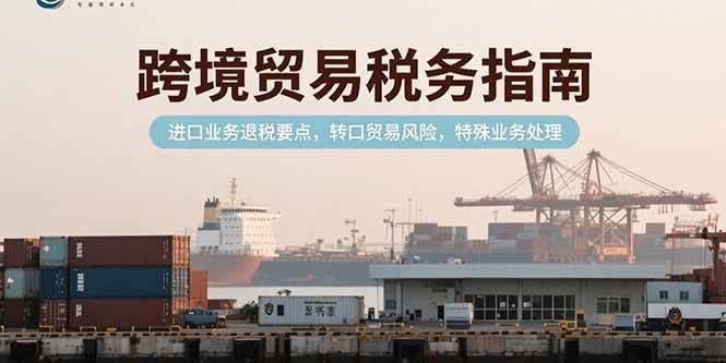 图片[1]-跨境贸易税务指南，进口业务退税要点，转口贸易风险，特殊业务处理