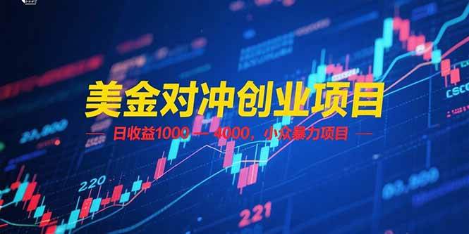 图片[1]-美金对冲创业项目，日收益 1000 – 4000，小众暴力项目