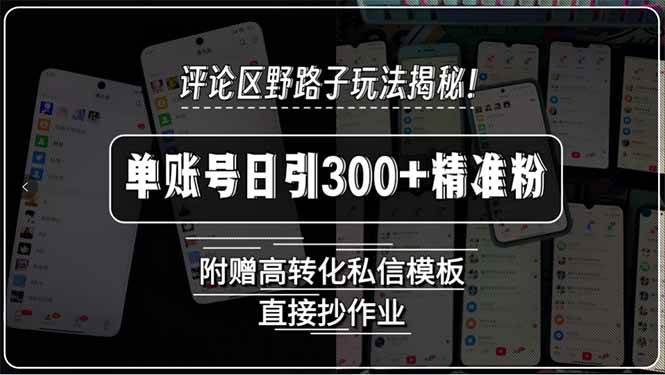 图片[1]-评论区野路子玩法揭秘！单账号日引300+精准粉，附赠高转化私信模板，直…