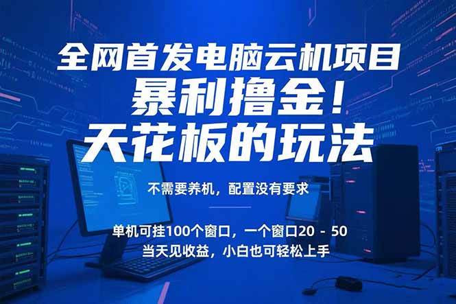图片[1]-电脑云机项目 暴力撸金玩法，不需要养机 配置没有要求 单机100个窗口一…