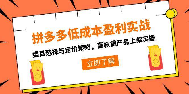 图片[1]-拼多多低成本盈利实战，类目选择与定价策略，高权重产品上架实操