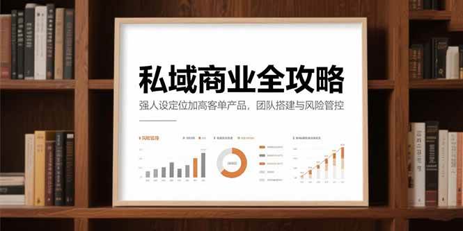 图片[1]-私域商业全攻略，强人设定位加高客单产品，团队搭建与风险管控