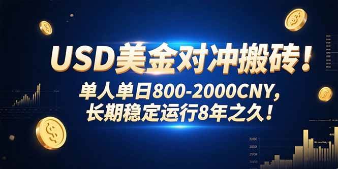 USD美金对冲搬砖!单人单日800-2000CNY，长期稳定运行8年之久!|云雀资源分享