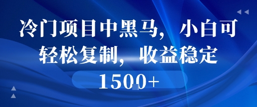 冷门项目中黑马，小白可轻松复制，收益稳定1.5k|云雀资源分享