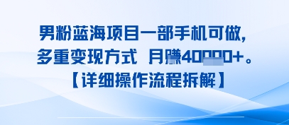 8月新男粉蓝海项目一部手机可做，多重变现方式 月入4W+【详细操作流程拆解】|云雀资源分享