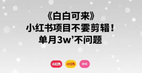 小白可来 小红书项目不需要剪辑 单月3w不是问题|云雀资源分享