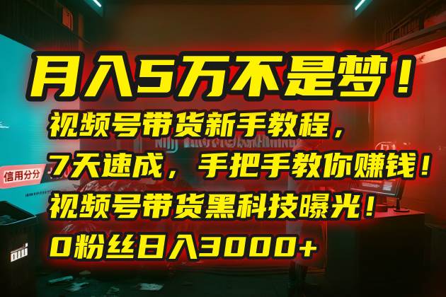 月入5万不是梦！视频号带货新手教程，7天速成，手把手教你赚钱！视频号…|云雀资源分享