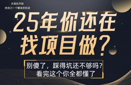 25年，你还在疯狂的找项目吗？别傻了，看完这个你都懂了【揭秘】|云雀资源分享