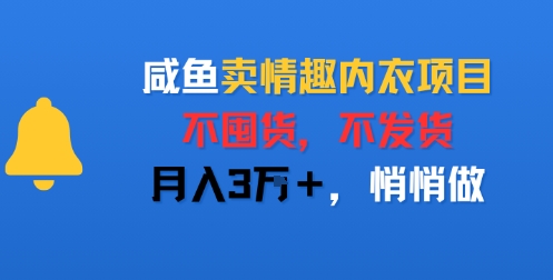 咸鱼卖情趣内衣项目，不囤货，不发货，月入3W+，悄悄做|云雀资源分享