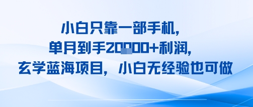 小白只靠一部手机，单月到手2W+利润，玄学蓝海项目，小白无经验也可做|云雀资源分享