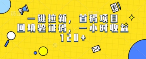 一键拉新，首码项目，回填验证码，一小时收益1张|云雀资源分享