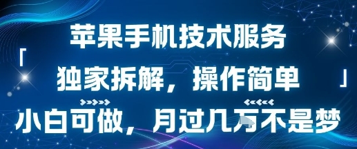苹果手机技术服务，独家拆解，操作简单，小白可做，月过1W不是梦|云雀资源分享