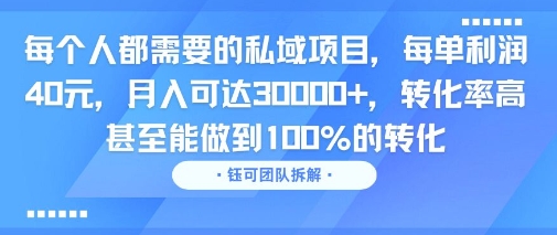 每个人都需要的私域项目，每单利润40米，月入可达3W+，转化率高 甚至能做到100%的转化|云雀资源分享