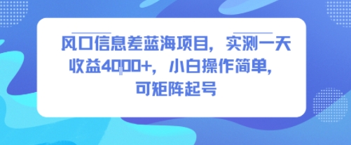 风口信息差蓝海项目，实测一天收益4k+，小白操作简单，可矩阵起号|云雀资源分享