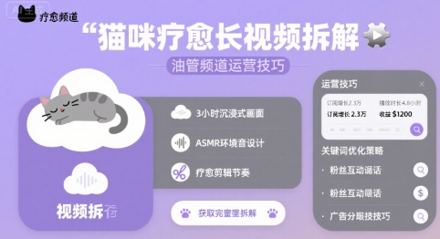 猫咪疗愈长视频拆解 &油管频道运营技巧|云雀资源分享
