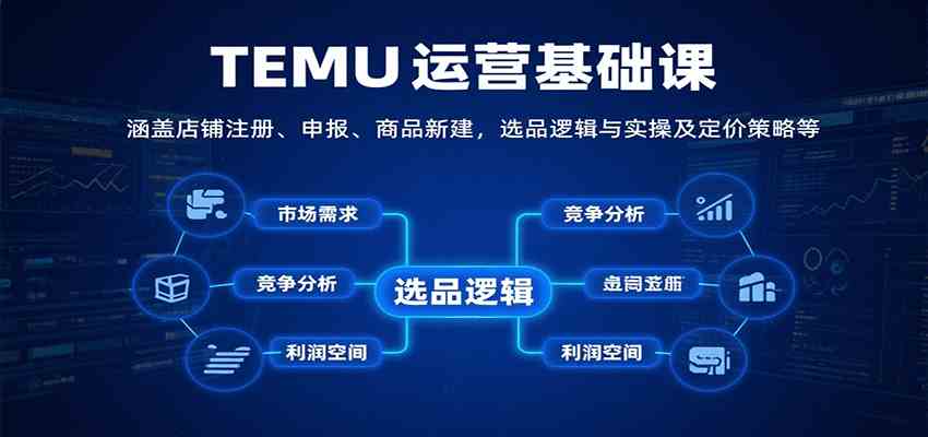 TEMU运营基础课：涵盖店铺注册、申报、商品新建，选品逻辑与实操及定价策略等|云雀资源分享