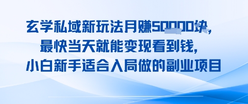 玄学私域新玩法月入1W+，最快当天就能变现看到米，小白新手适合入局做的副业项目|云雀资源分享