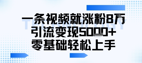 一条视频就涨粉8W引流变现5k+，0基础项目轻松上手|云雀资源分享