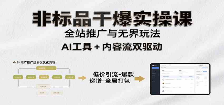 非标品干爆实操课：含多案例及操盘方法，从选品到推广、成交，助力打造爆款实现盈利|云雀资源分享