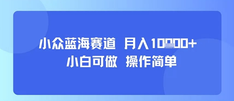 小众蓝海赛道，小白可做，操作简单，每天30分钟，月入1W+|云雀资源分享
