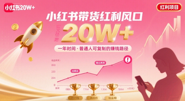 一年时间靠小红书带货项目年入20w+，最不能错的大红利项目|云雀资源分享