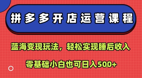 拼多多开店运营课程：蓝海变现玩法，轻松实现睡后收入，零基础小白也可日入5张|云雀资源分享