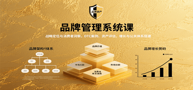 品牌管理系统课:战略定位与消费者洞察,DTC案例、资产评估,增长与公关体系搭建|云雀资源分享