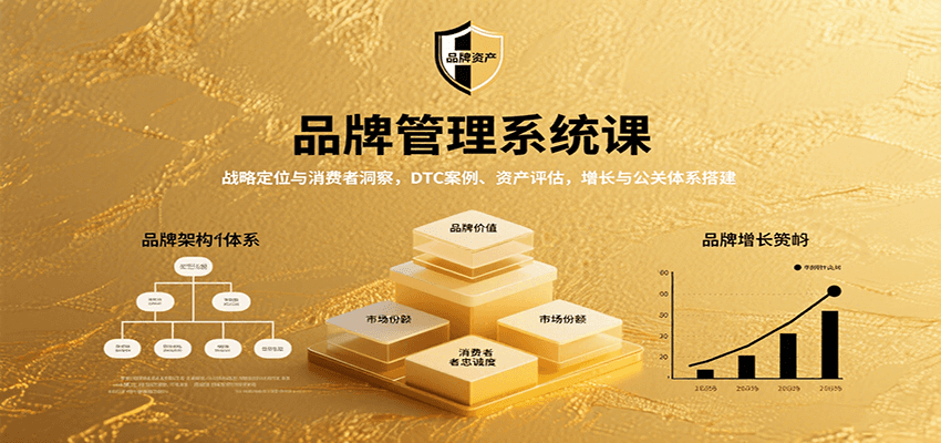 品牌管理系统课：战略定位与消费者洞察，DTC案例、资产评估，增长与公关体系搭建|云雀资源分享
