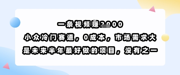 一条视频挣1k，小众冷门赛道，0成本，市场需求大，是未来半年最好做的项目，没有之一|云雀资源分享