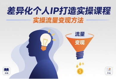 差异化个人IP打造实操课程，实操流量变现方法|云雀资源分享