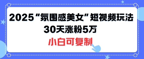 不露脸也能火！2025“氛围感美女”短视频玩法，30天涨粉5W小白可复制|云雀资源分享