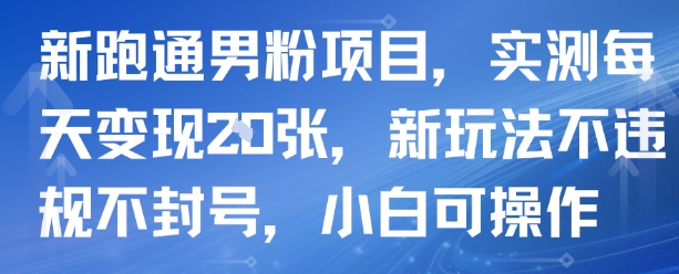 新跑通男粉项目，实测每天变现多张，新玩法不违规不封号，小白可操作|云雀资源分享
