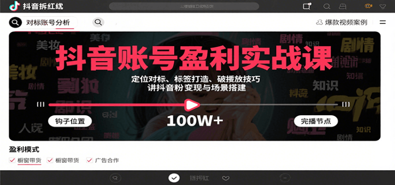 抖音账号盈利实战课,定位对标、标签打造、破播放技巧,讲涨粉变现与场景搭建|云雀资源分享