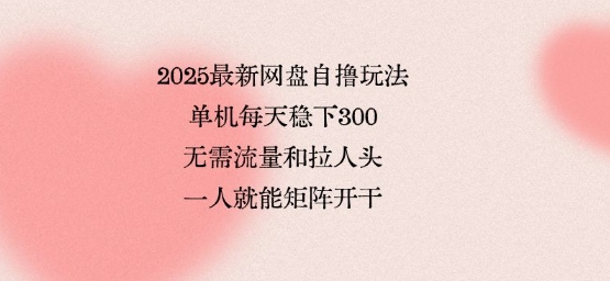 2025最新网盘自撸玩法，单机每天稳下3张，无需流量和拉人头，一个人就可轻松矩阵，全网独一份【揭秘】|云雀资源分享