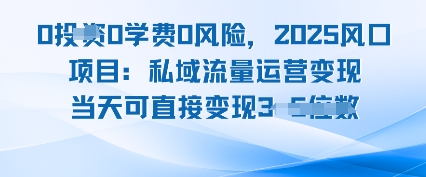 0学费0风险，2025风口项目：私域流量运营变现，当天可直接变现|云雀资源分享
