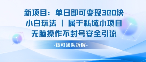 新项目单日即可变现3张的小白玩法无脑操作不封号安全引流|云雀资源分享