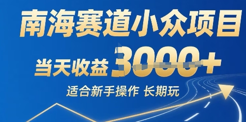 南海赛道小众项目，当天收益1k+适合新手操作可以长期玩|云雀资源分享