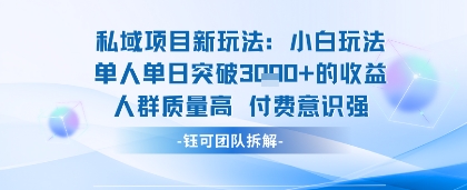 私域项目新玩法小白玩法单人单日突破1k的收益人群质量高付费意识强|云雀资源分享