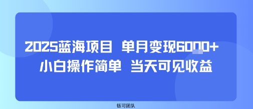 2025蓝海项目 单月变现6k+ 小白操作简单 当天可见收益|云雀资源分享