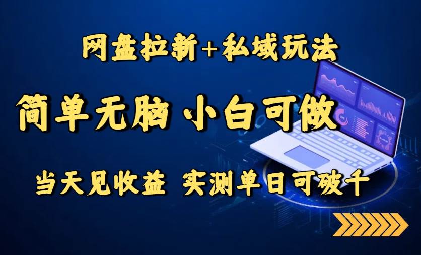 图片[1]-网盘拉新+私域玩法，简单无脑，小白可做，当天见收益，实测单日可破千