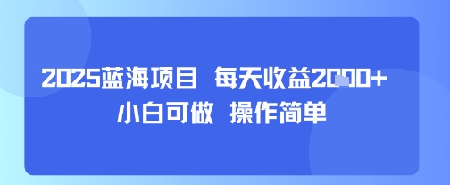 2025蓝海项目 每天收益多张小白可做 操作简单