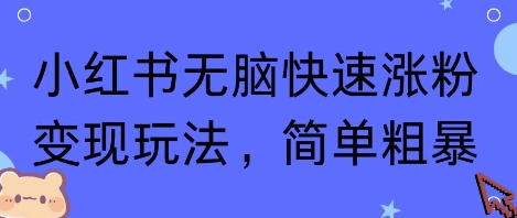 小红书无脑快速涨粉变现玩法，简单粗暴|云雀资源分享