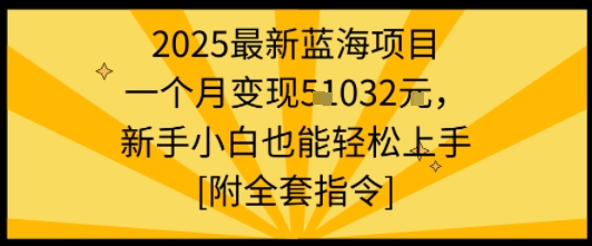 2025最新蓝海项目一个月变现1w+新手小白也能轻松上手【附全套指令】|云雀资源分享