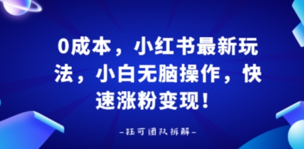 0成本，小红书最新玩法，小白无脑操作，快速涨粉变现|云雀资源分享