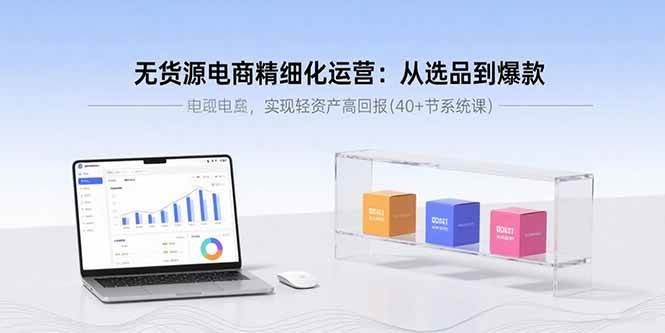 无货源电商精细化运营：从选品到爆款，实现轻资产高回报(40+节系统课)|云雀资源分享